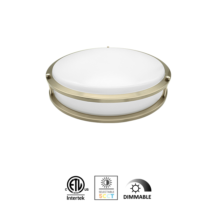 12/14/16Inch Double Ring Surface Mount Celling Light